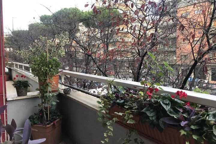 View from room