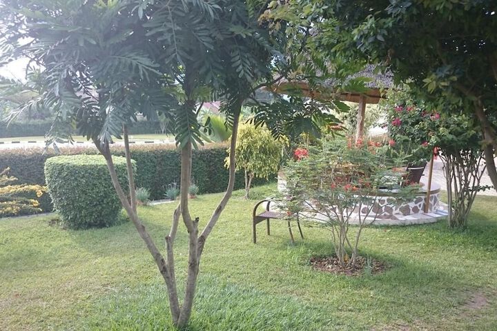 Property Grounds 27 of 35