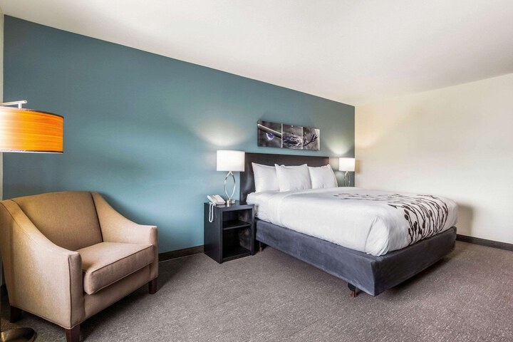 1 King Bed (8 of 16)