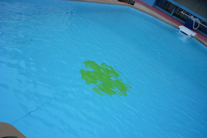 Pool 58 of 308