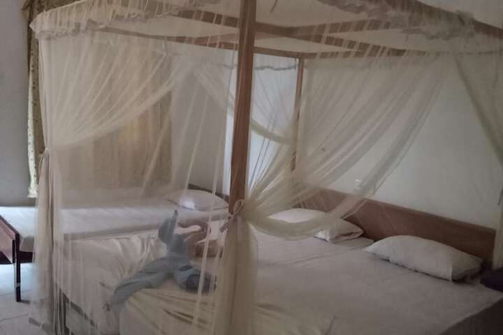 Room 15 of 54