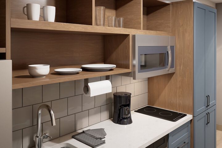Studio Suite 2 Queen Beds Kitchen (4 of 4)
