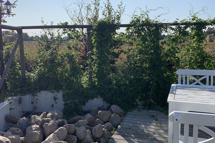 Terrace/Patio 89 of 112