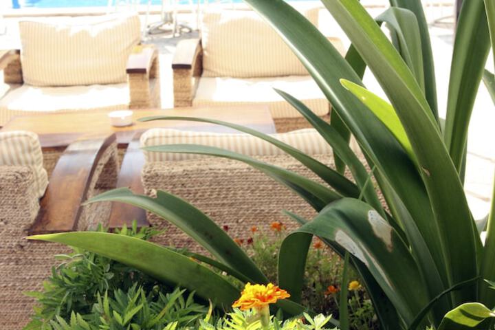 Sundeck