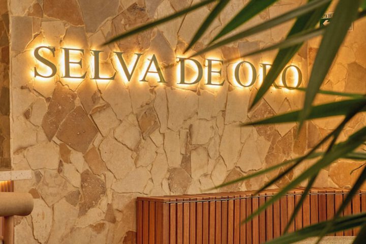 Spa and Wellness