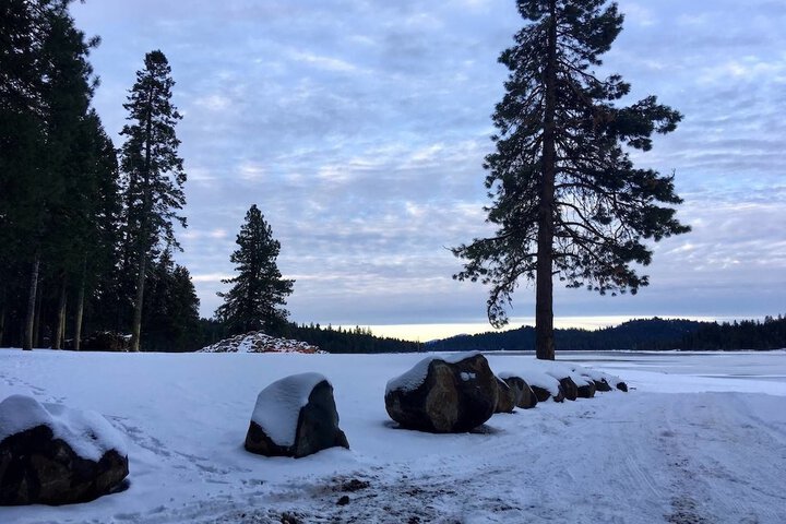 #40 The Cabins at Hyatt Lake pet Friendly in Ashland, OR