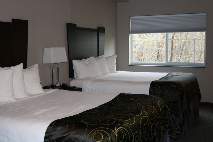 2 Queen Beds (4 of 8)