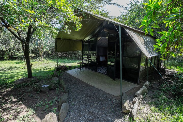 Punda Milias Lodge in Nakuru