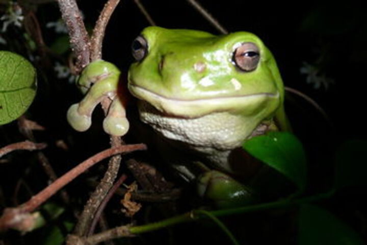Hotel Exterior 28 of 62