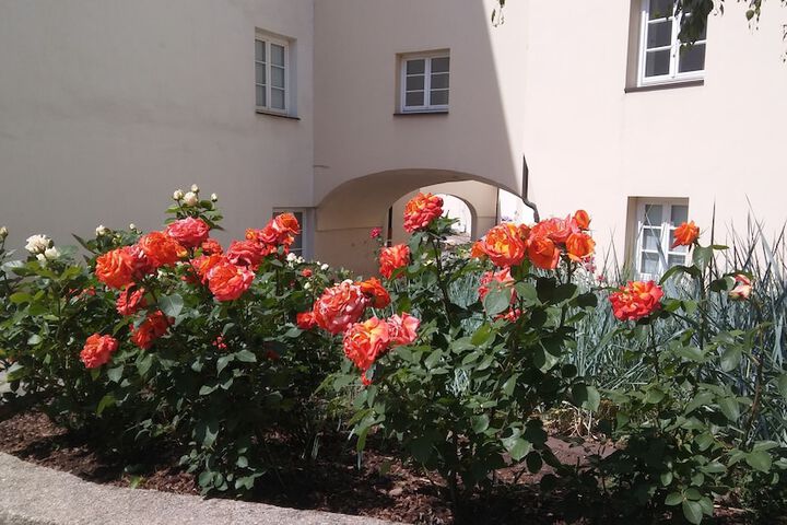 Hotel Exterior 56 of 74