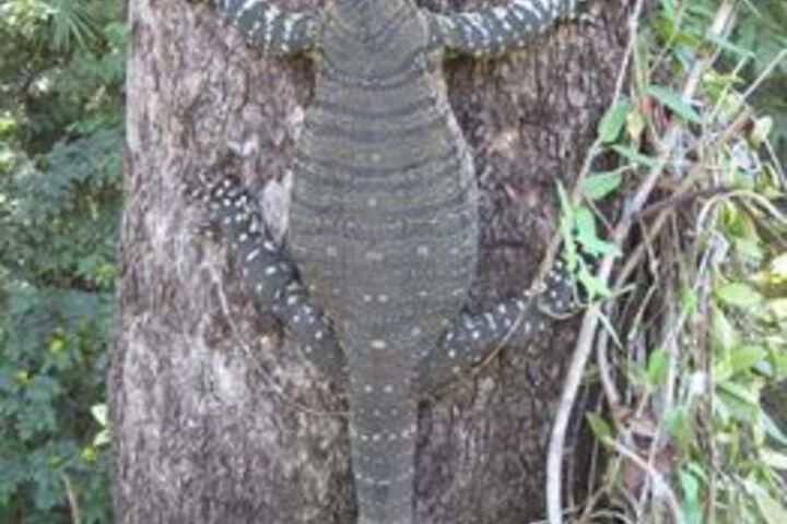 Hotel Exterior 17 of 45