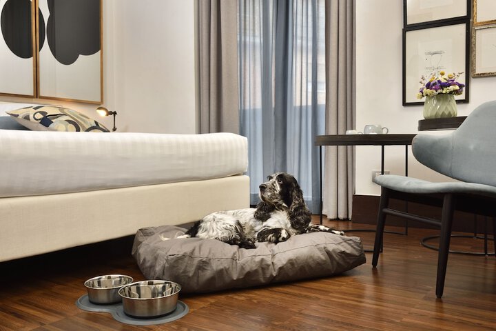 Pet-friendly amenities
