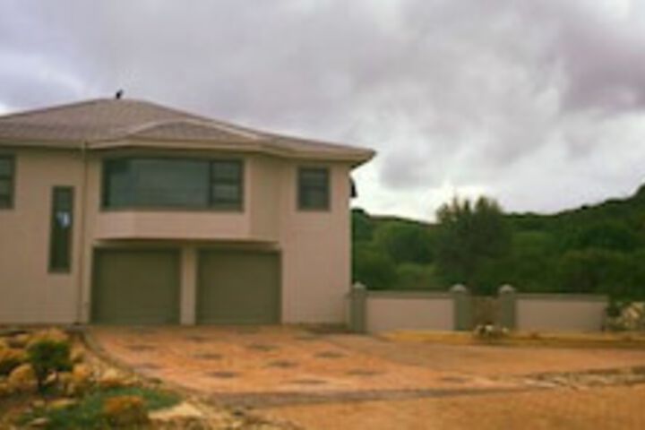 Gulls Stilbaai