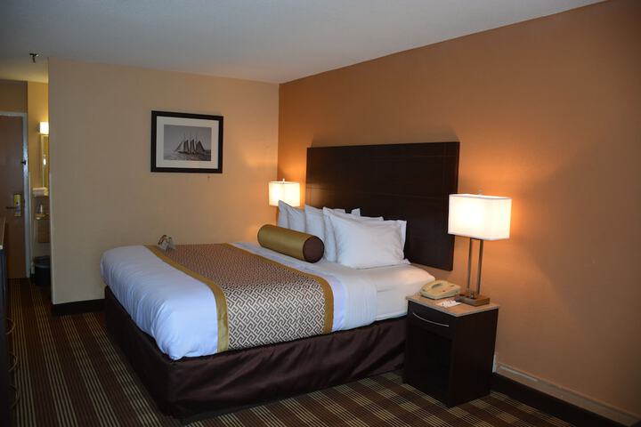 Standard King Bed Pet Friendly Accessible (7 of 13)