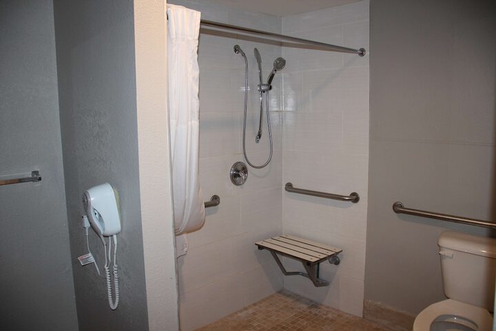 1 King Bed Accessible (10 of 16)