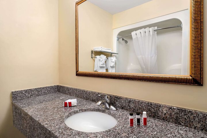 1 King Bed Superior Mobility Accessible Roll in Shower (9 of 14)