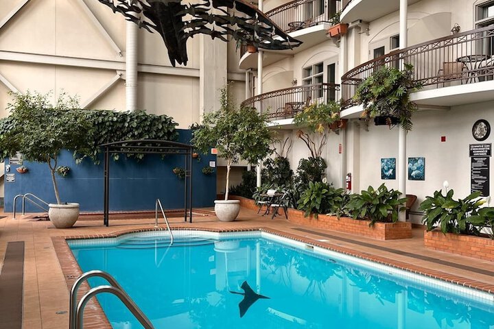 Pool image of Hotel LOie des neiges