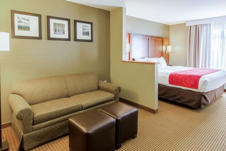 1 Bedroom Suite (3 of 8)