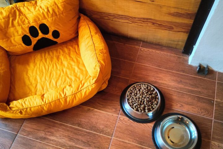 Pet Friendly 172 of 209