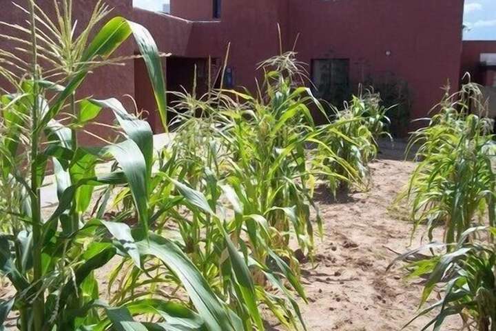 Property Grounds 37 of 46