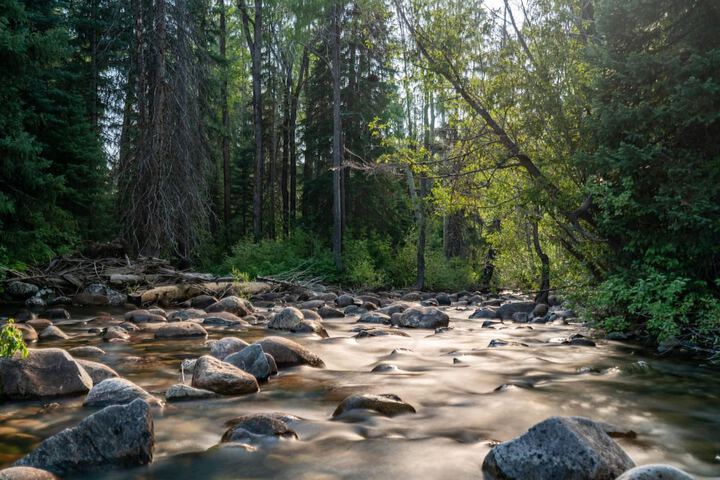 Outdoor Activities 32 of 54