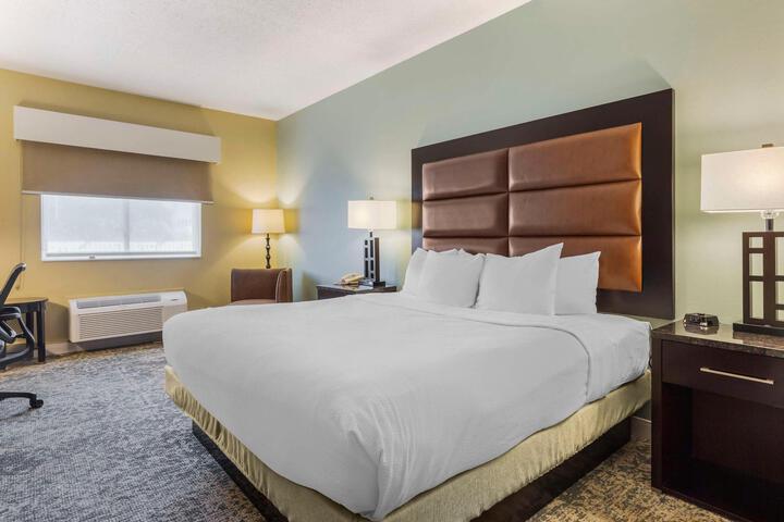 1 King Bed (7 of 10)