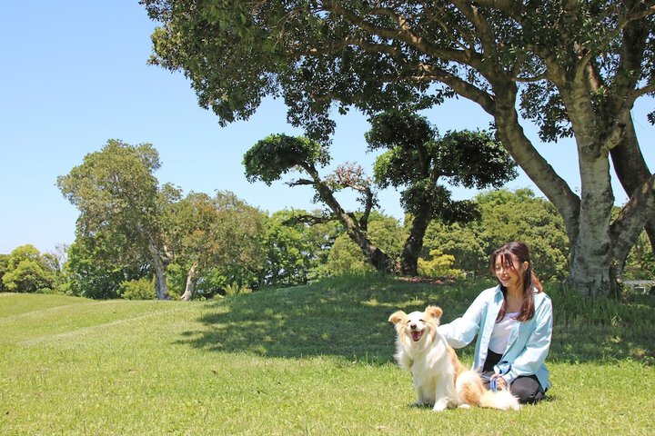 Pet Friendly 45 of 71