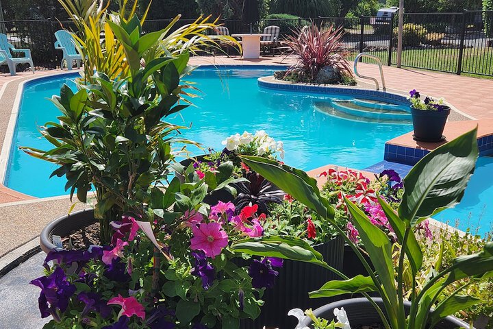 Pool 38 of 63