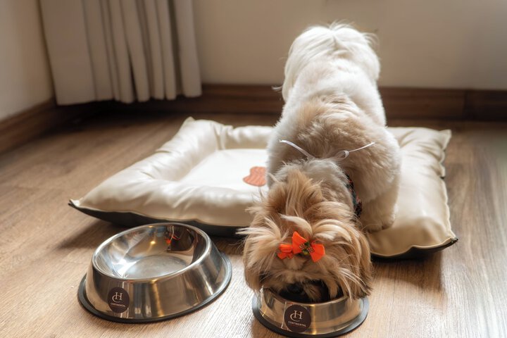 Pet-friendly amenities