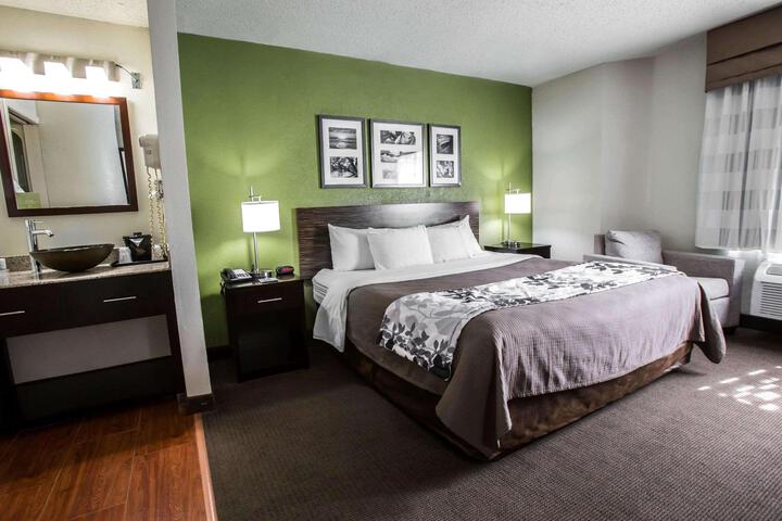 1 King Bed (4 of 7)