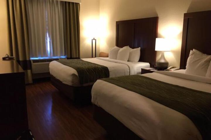 2 Queen Beds (1 of 17)