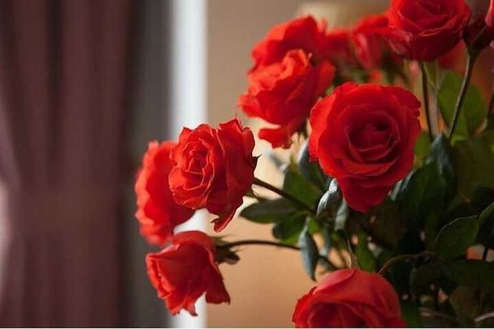Room 38 of 83