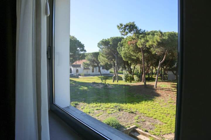 View from room
