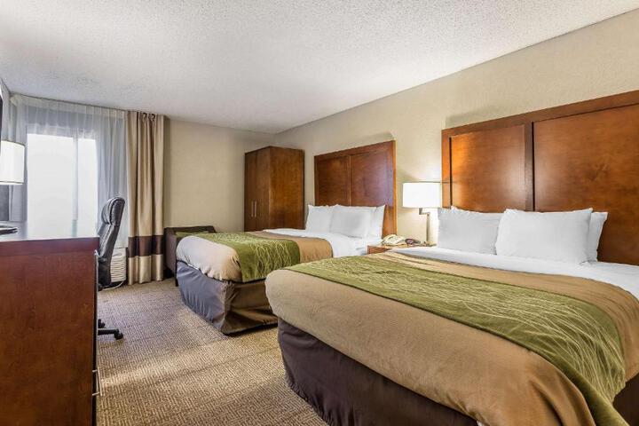 1 Queen Bed Accessible (11 of 14)