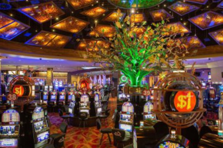 Entertainment 12 of 21