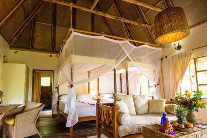 Bwindi Safari Lodge