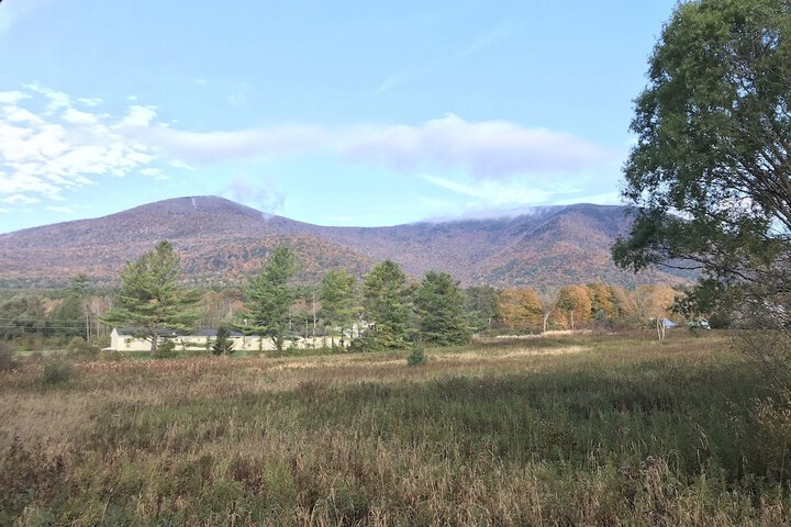 Property Grounds 42 of 69