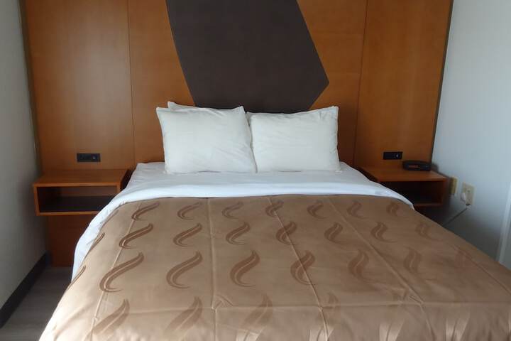1 Queen Bed (8 of 10)