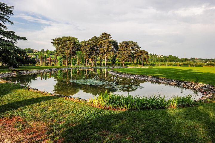 Golf 26 of 59