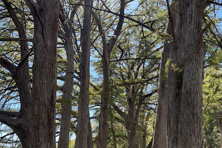 Outdoor Activities 77 of 85