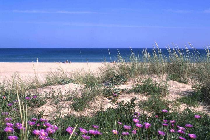 Beach 24 of 28