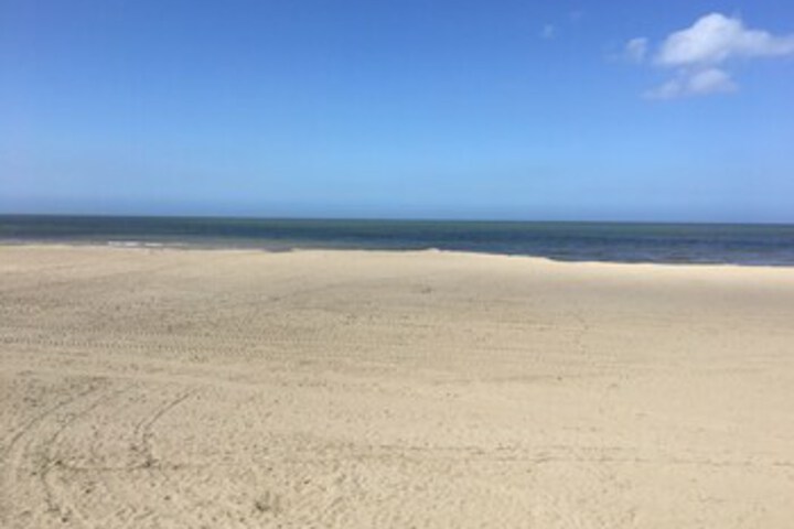 Beach 12 of 40