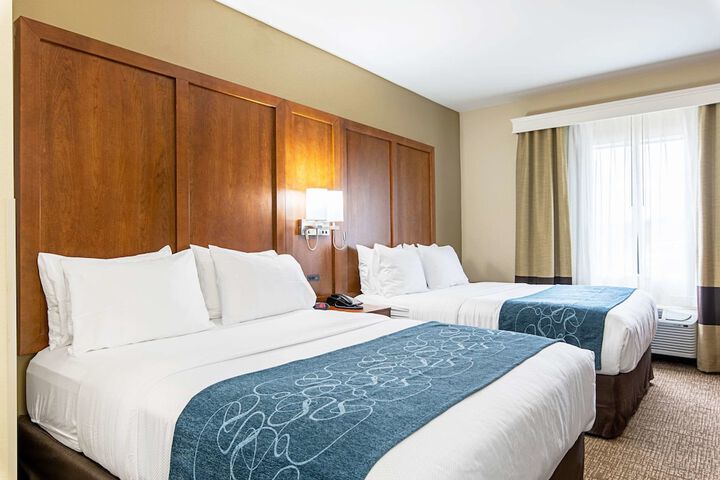 2 Queen Beds (4 of 13)