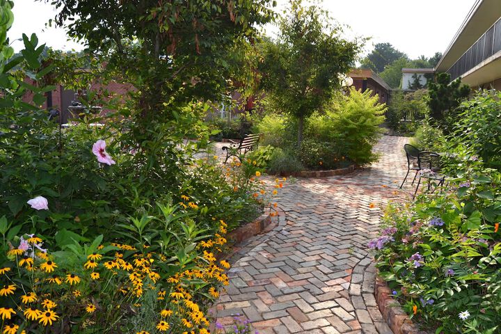 Garden view