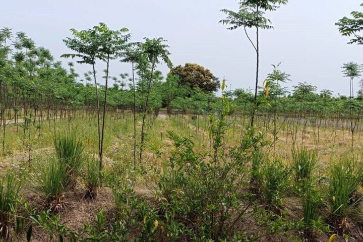 View from room