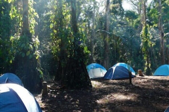 Alto Tambopata Lodge and WildLife Center