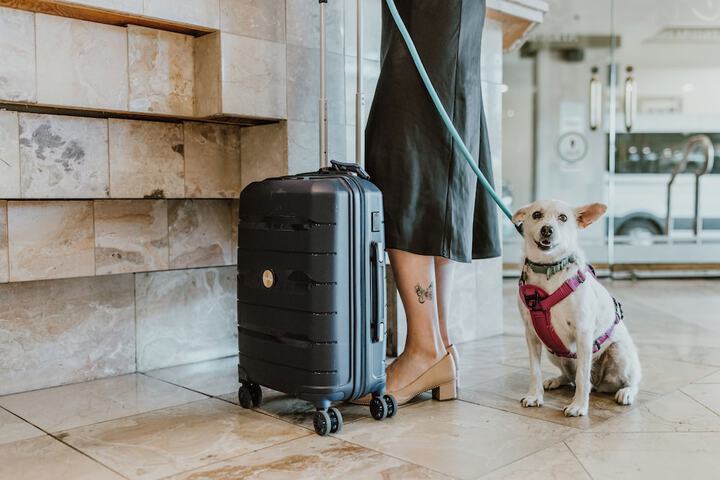 Pet-friendly