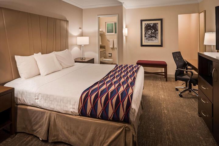 1 King Bed Larger Room, Microwave, Refrigerator High Speed Internet Accessible (17 of 18)