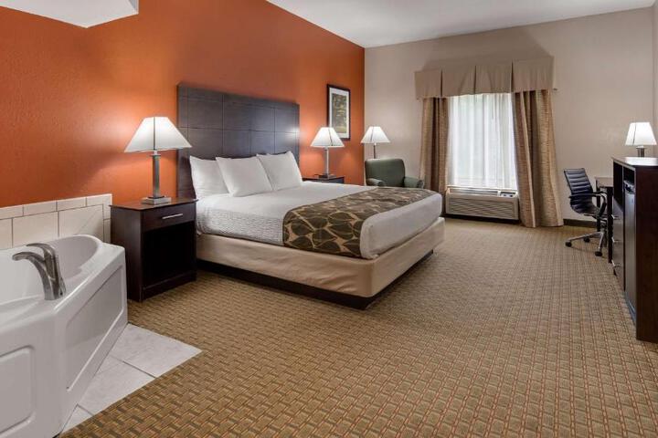 1 King Bed Microwave and Refrigerator WiFi Flat Screen HDTV Work Desk Full Breakf (4 of 13)