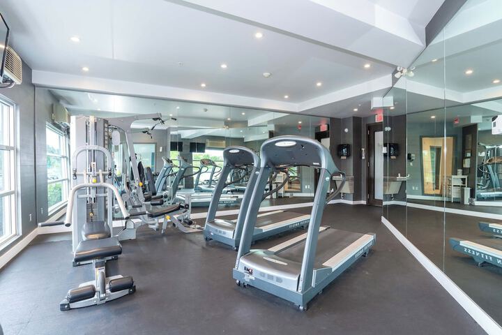 Gym & Fitness